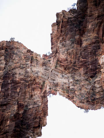 Zion 16