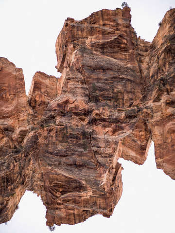 Zion 17