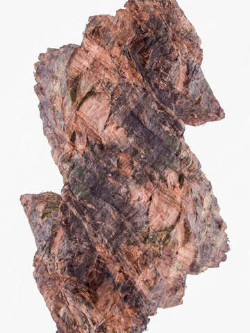 Zion 21