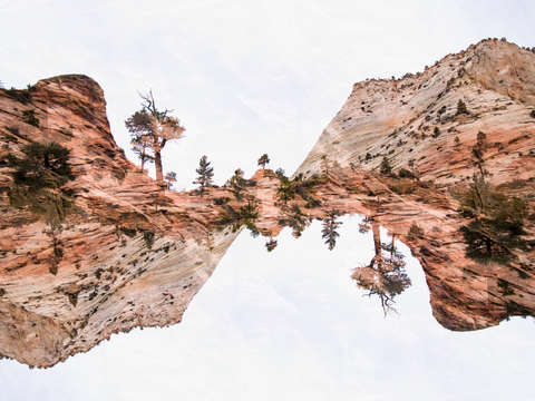 Zion 34