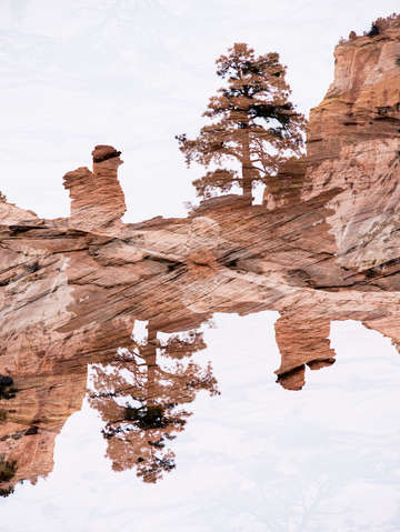 Zion 42