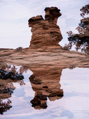 Zion 47