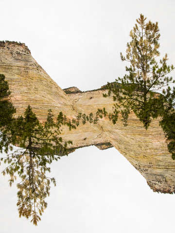 Zion 51