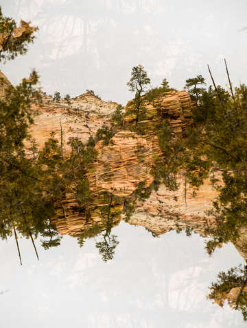Zion 25