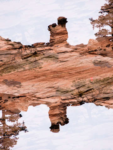 Zion 43
