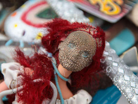 Burned barbie