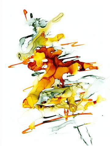 Sea dragon 3
