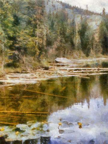 Rocky mountain lake with lily pads