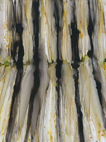 Aspens 5