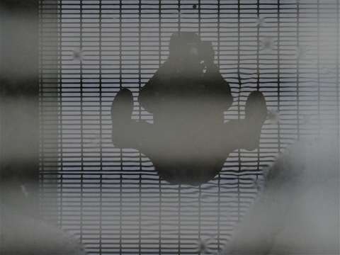 Grate great 2