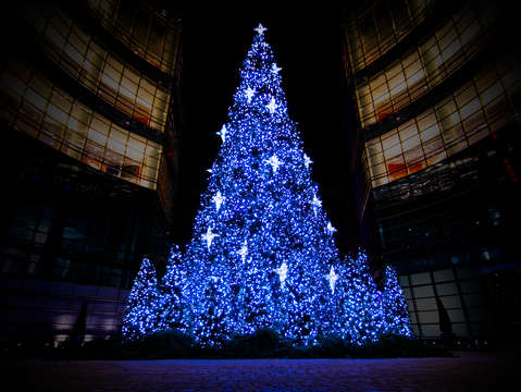 Diamond covered christmas tree