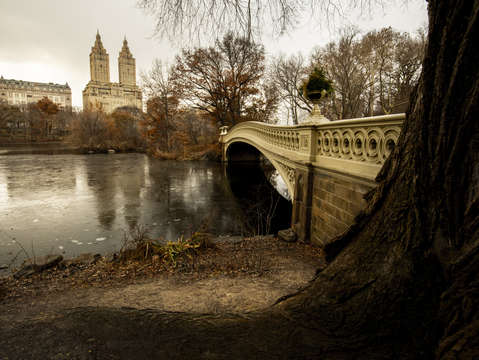 Central park bridge