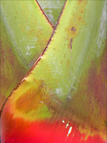 Palm reader v