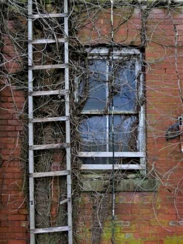 Shoots and ladders and windows