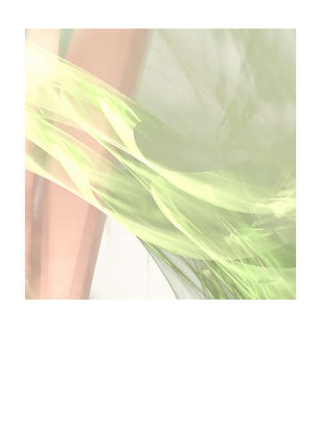 Fairydust 14511 2
