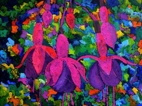 Fuschia flowers