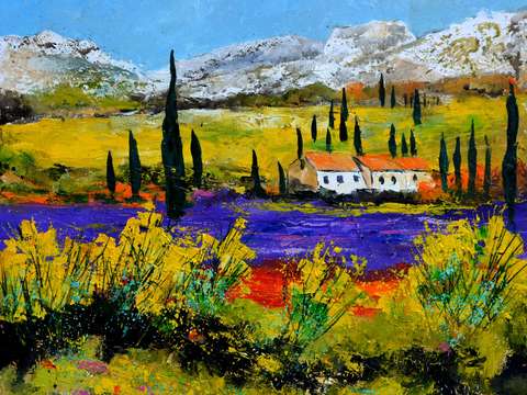 Provence in vaucluse