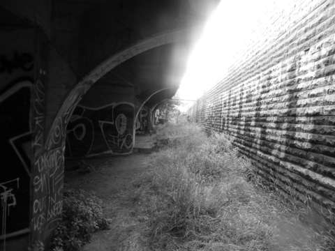 Secret tunnel