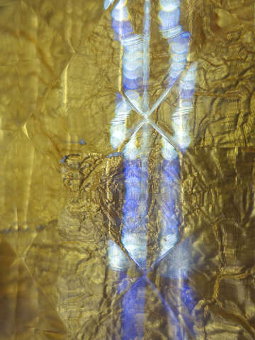 Golden 0427