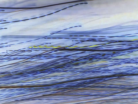Blue land 03824