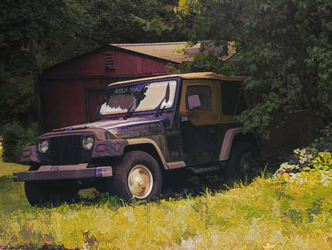 Jeep in the trees