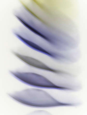 Winged 7752