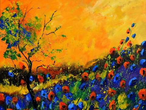 Poppies 8