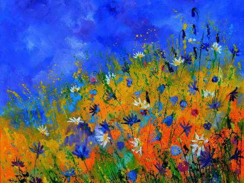 Summer wild flowers