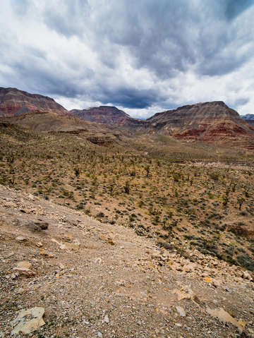 Zion national park 3