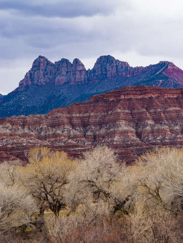 Zion national park 7