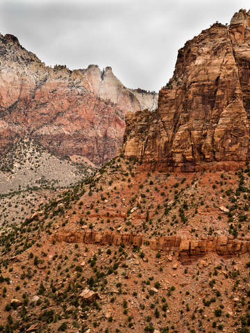 Zion national park 16