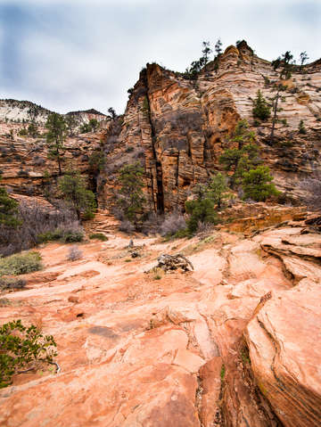 Zion national park 21
