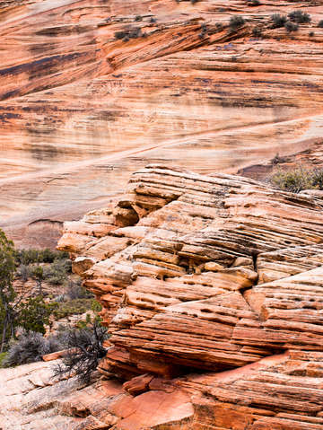 Zion national park 25
