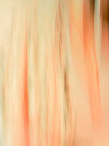 Familiar love 2