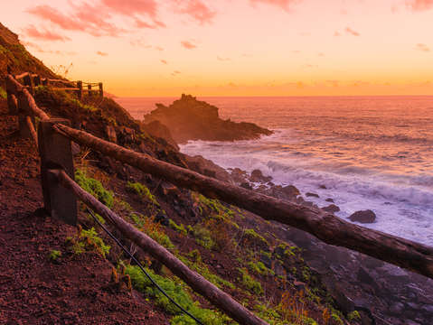 Road to the beach