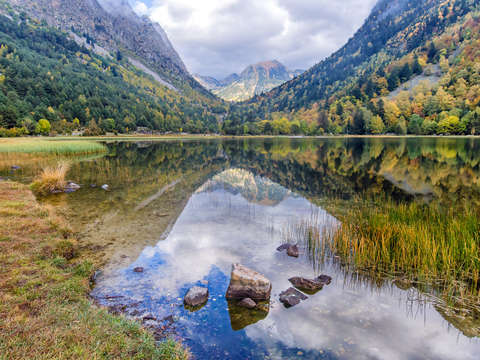 Pyrenees