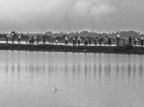 Rohingya refugee