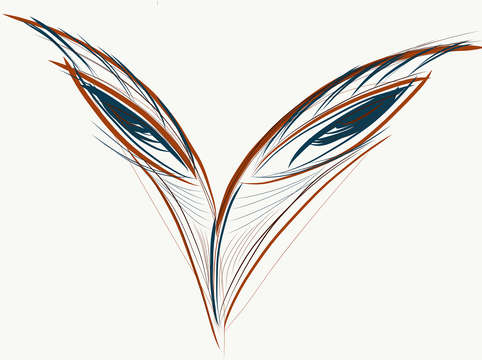 Fly 3