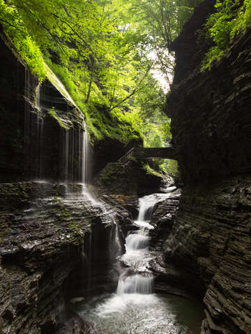 Watkins glen