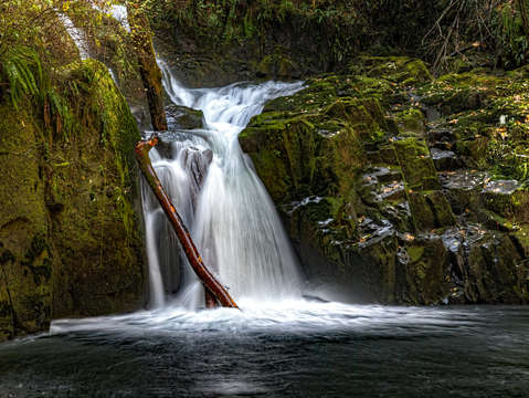 Sweet creek falls