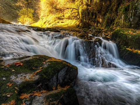 Sweet creek