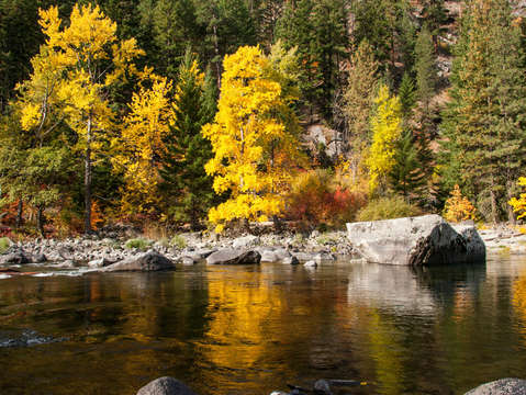 Color floats by