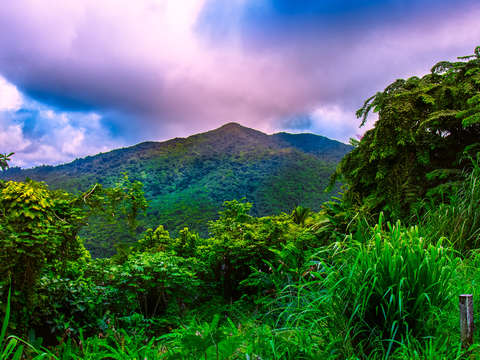 Monta a yunque el yunque