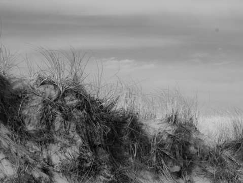 Sand dunes 5