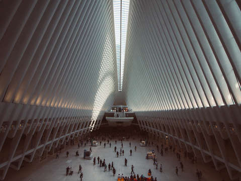 The oculus