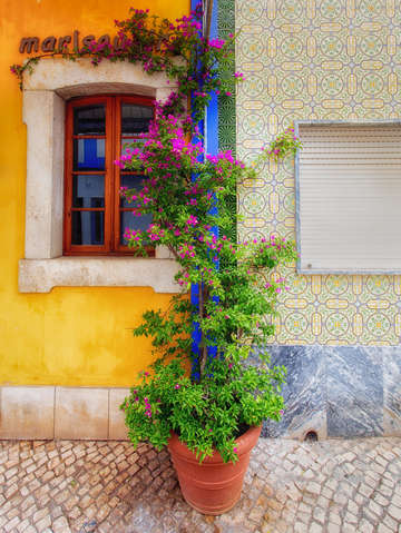 Streets of alvor flower pot