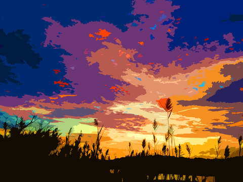 Nonquitt marsh 2