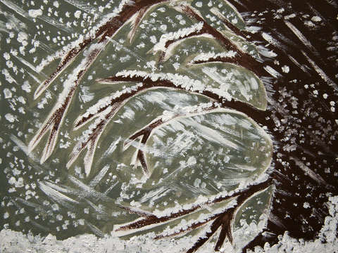 A winter scene