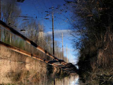 Floating tracks