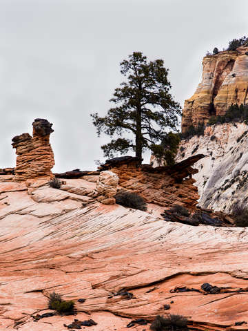 Zion national park 32